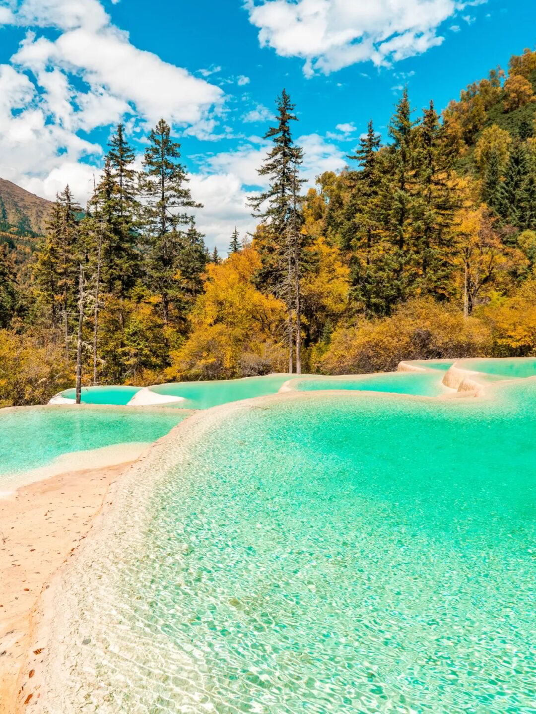 成都秋天一天游最佳地方,成都周边一日游自驾秋天