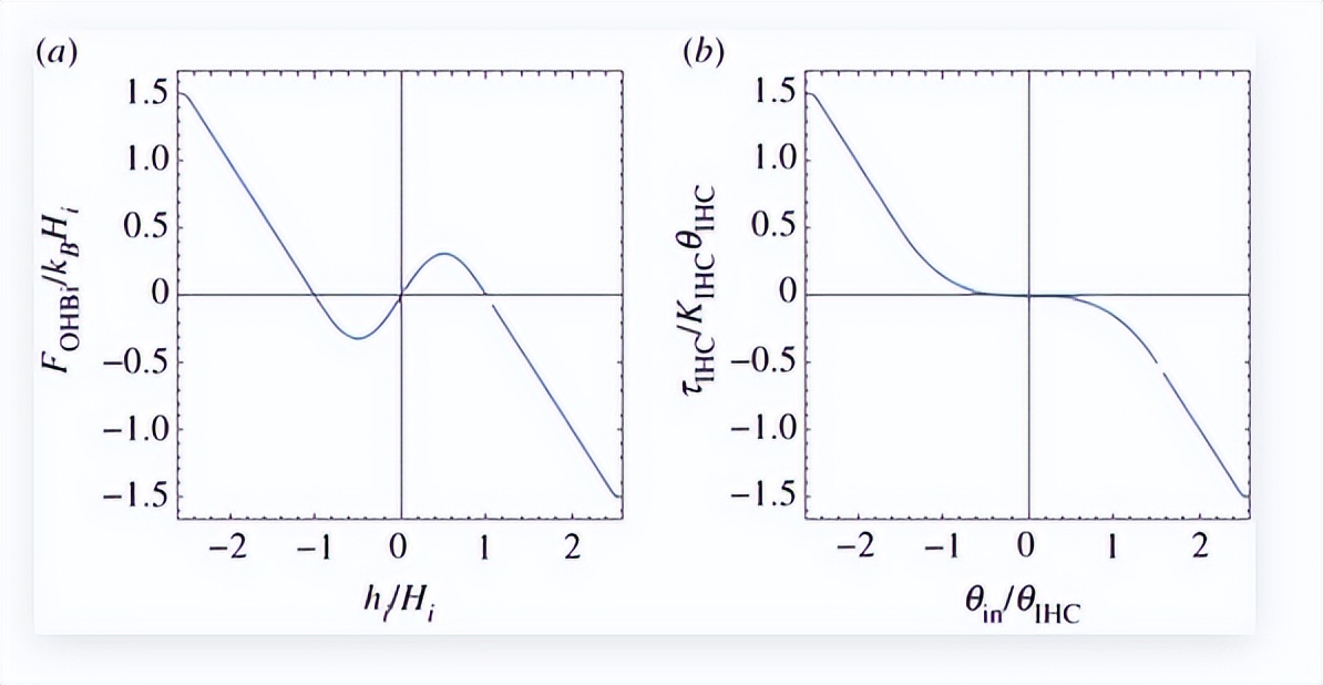 耳蜗的解剖结构和功能,耳蜗的功能的描述