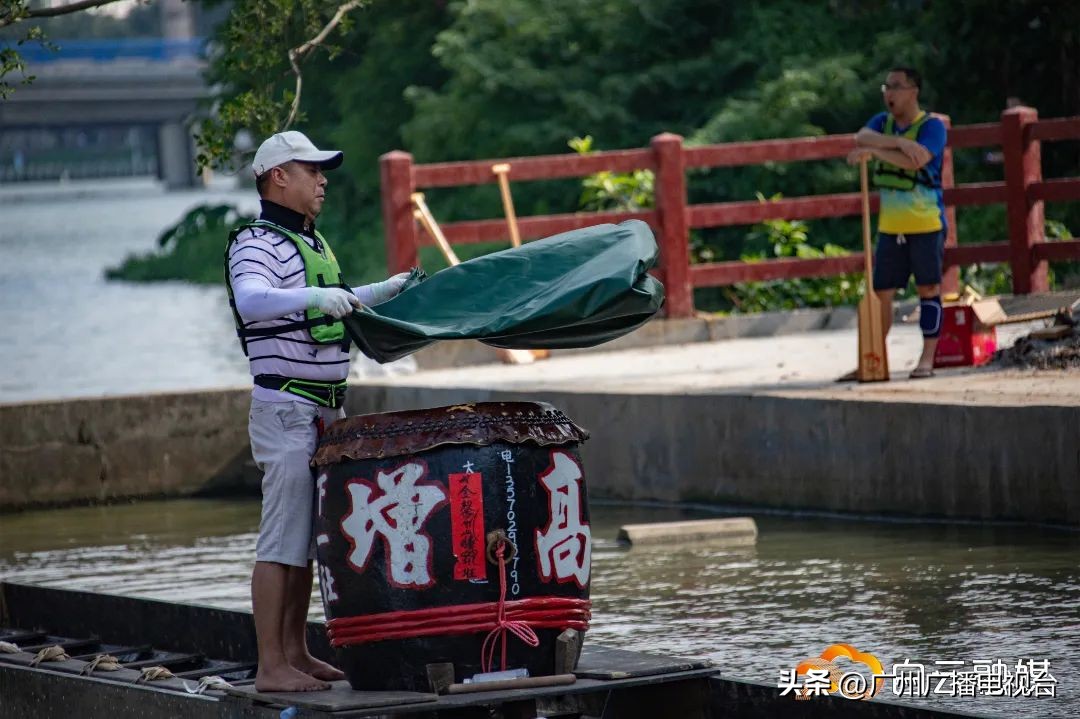 广州多区“睇龙船”超全指南,广东“睇龙船”指南来了