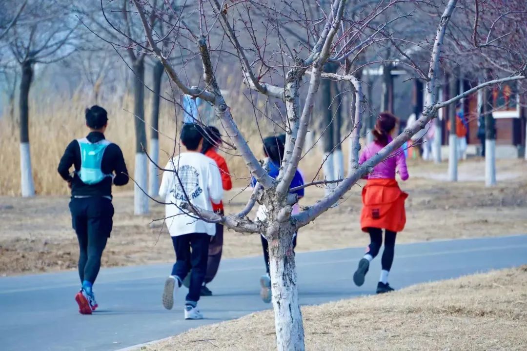相邀北京冬奥公园看花海！首届永定河海棠赏花节来喽~