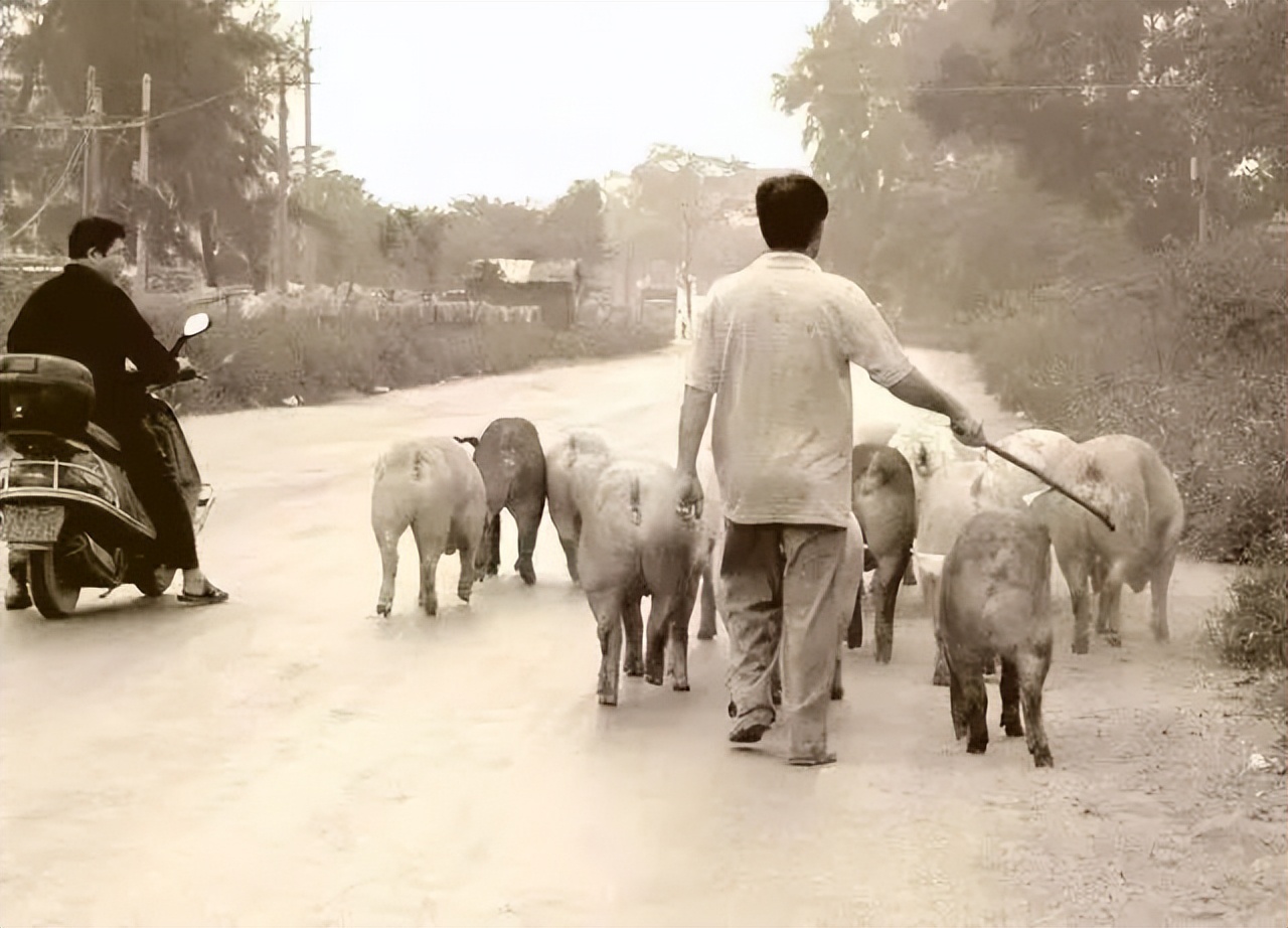 故城时光,故城时光母城