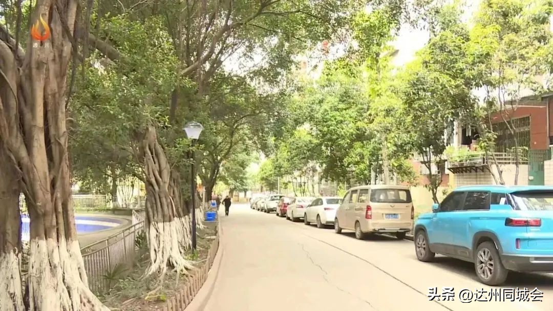 物业公司服务业主暖民心,物业服务受好评