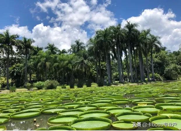 云南周边适合三日短途自驾游景点,青岛到云南自驾游途经的主要景点