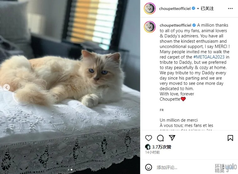 metgala绾㈡2022,metgala绾㈡2021