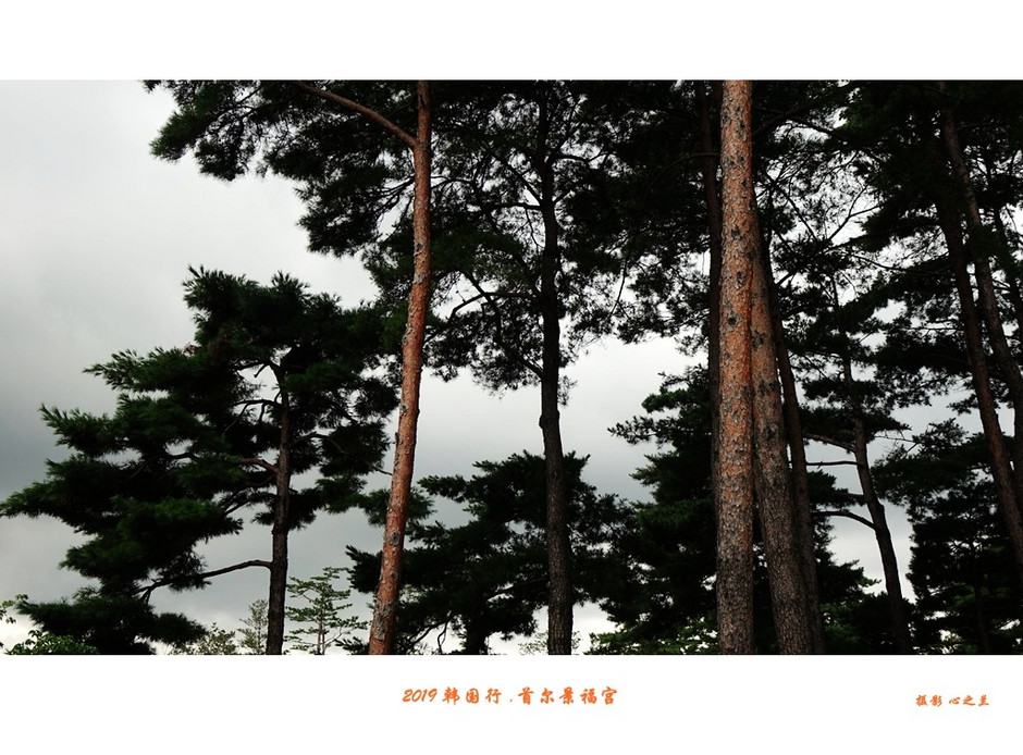 韩国首尔景福宫高清大图,韩国景福宫路线图