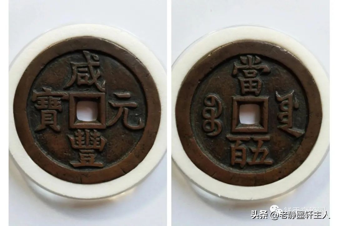 年轻人有多牛？天津中学生买到古泉名珍加入钱币协会