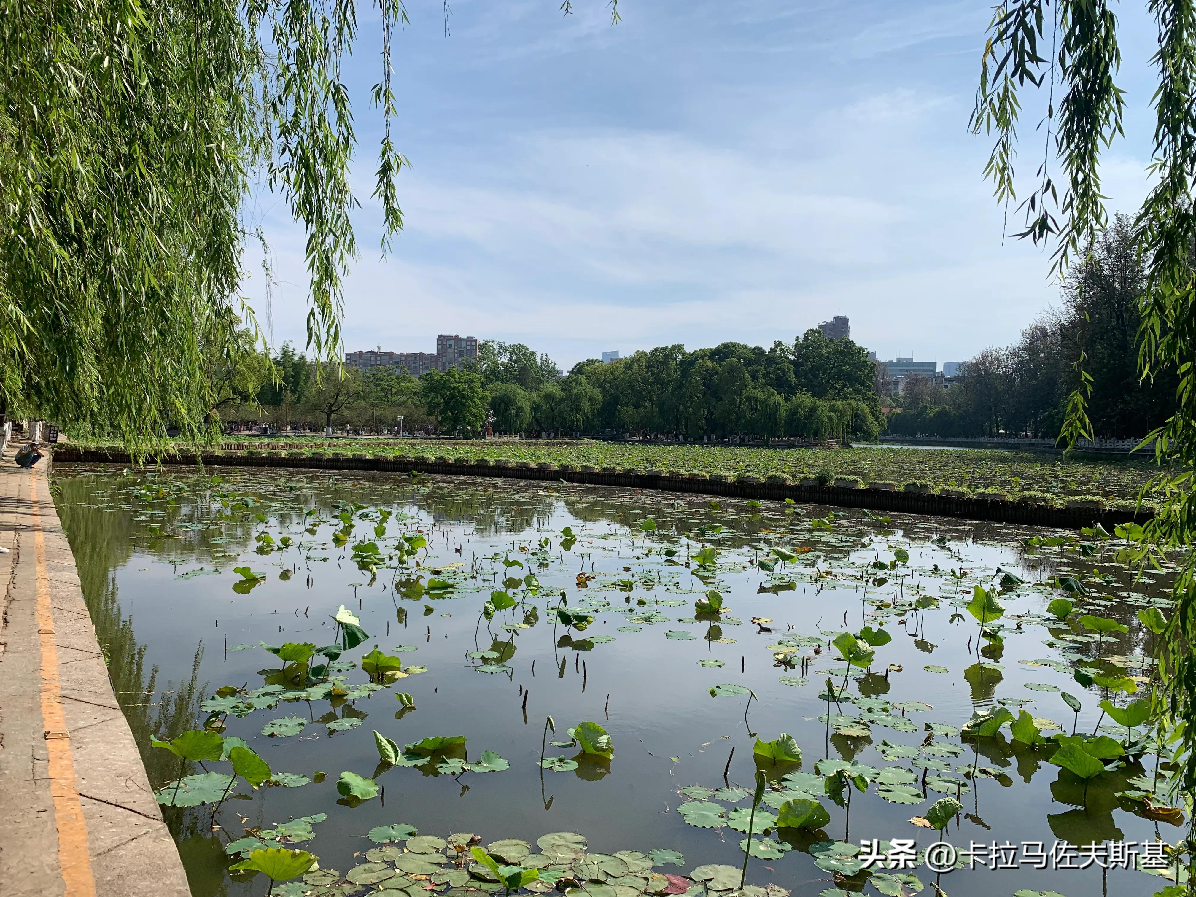 为什么要去云南腾冲芒市瑞丽旅游,芒市瑞丽腾冲旅游五一