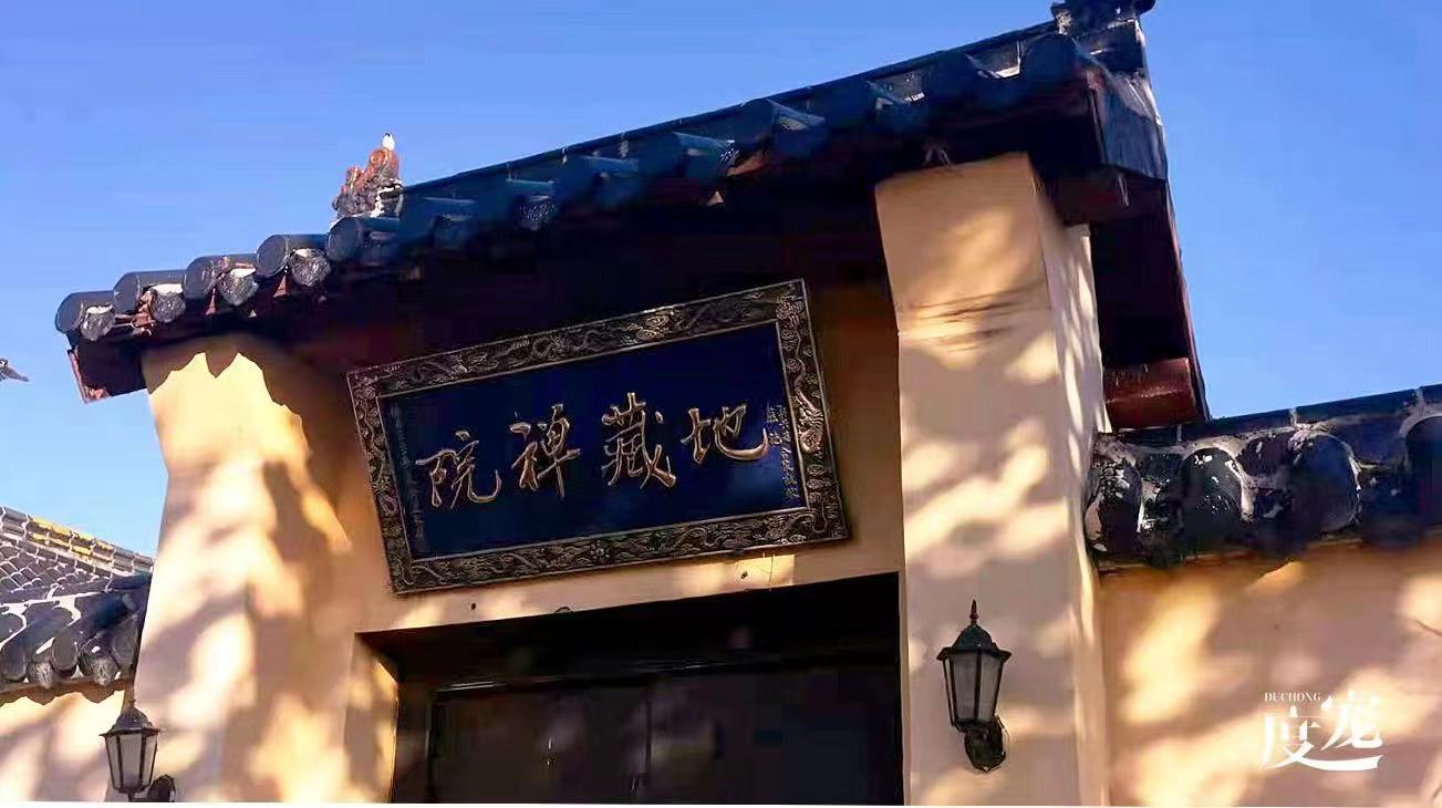 家里的宠物死了还能养吗,宠物在家里死了有忌讳吗