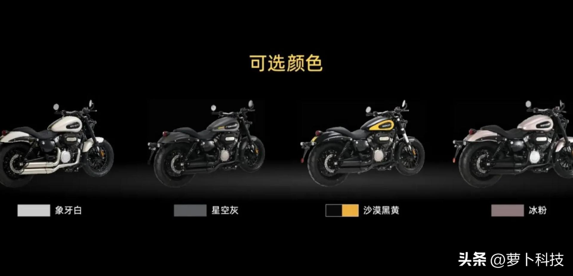 金吉拉300tcs版全款,金吉拉300新款老款区别大吗