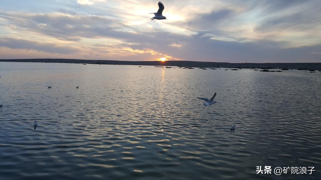 <html>
<head><title>502BadGateway</title></head>
<body>
<center><h1>502BadGateway</h1></center>
<hr><center>nginx</center>
</body>
</html>
<!--apaddingtodisableMSIEandChromefriendlyerrorpage-->
<!--apaddingtodisableMSIEandChromefriendlyerrorpage-->
<!--apaddingtodisableMSIEandChromefriendlyerrorpage-->
<!--apaddingtodisableMSIEandChromefriendlyerrorpage-->
<!--apaddingtodisableMSIEandChromefriendlyerrorpage-->
<!--apaddingtodisableMSIEandChromefriendlyerrorpage-->
