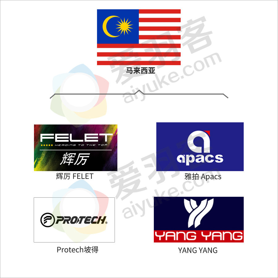 一文带你了解全球,一文看懂羽毛球历史