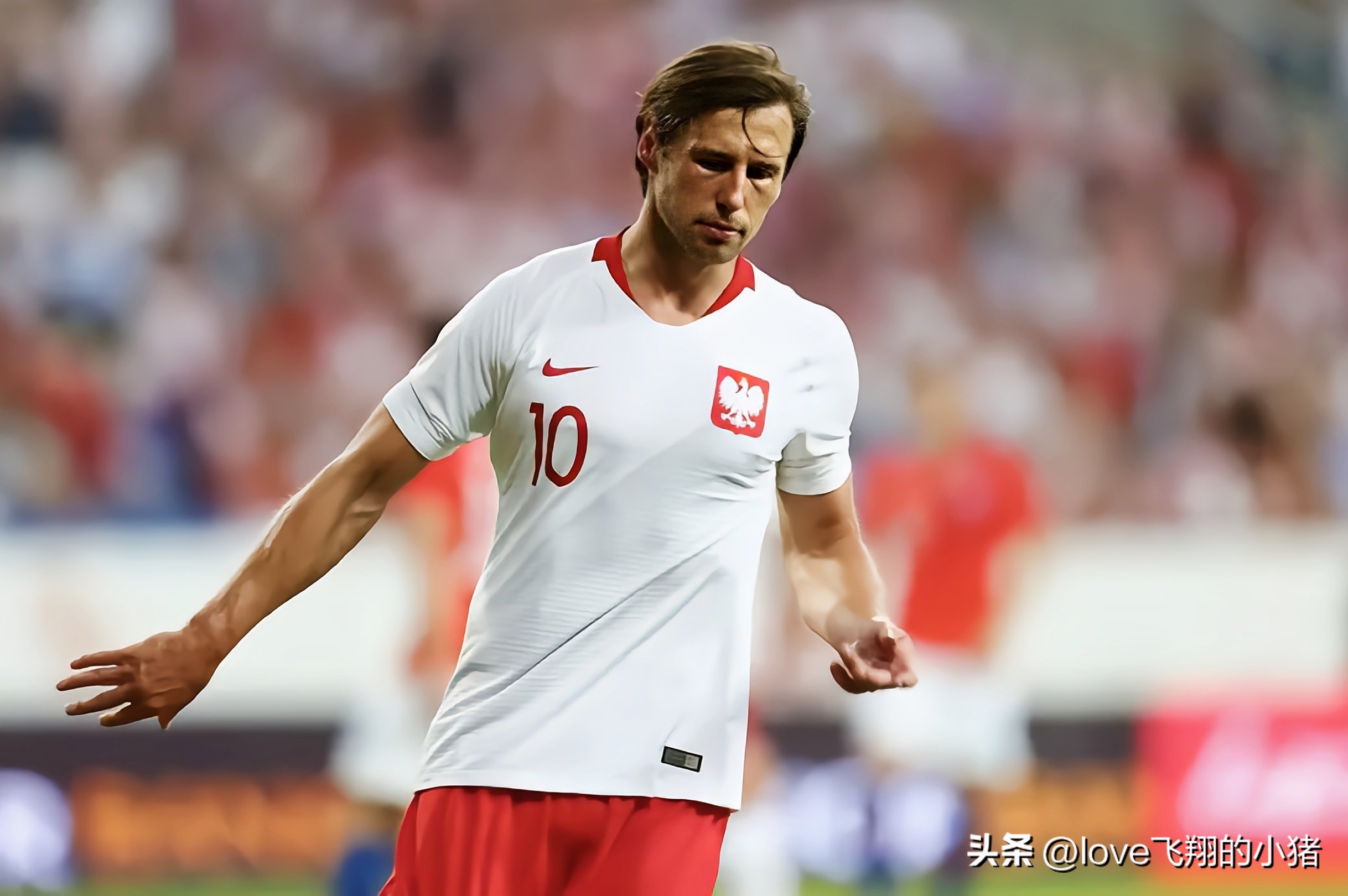 波兰2022主力阵容,波兰2022世界杯阵容