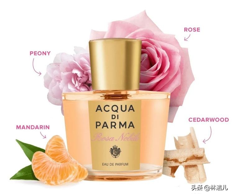 一闻就惊艳的香水荷尔蒙,一闻就很惊艳的香水