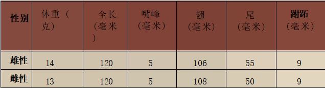 金丝燕科普视频,金丝燕的介绍