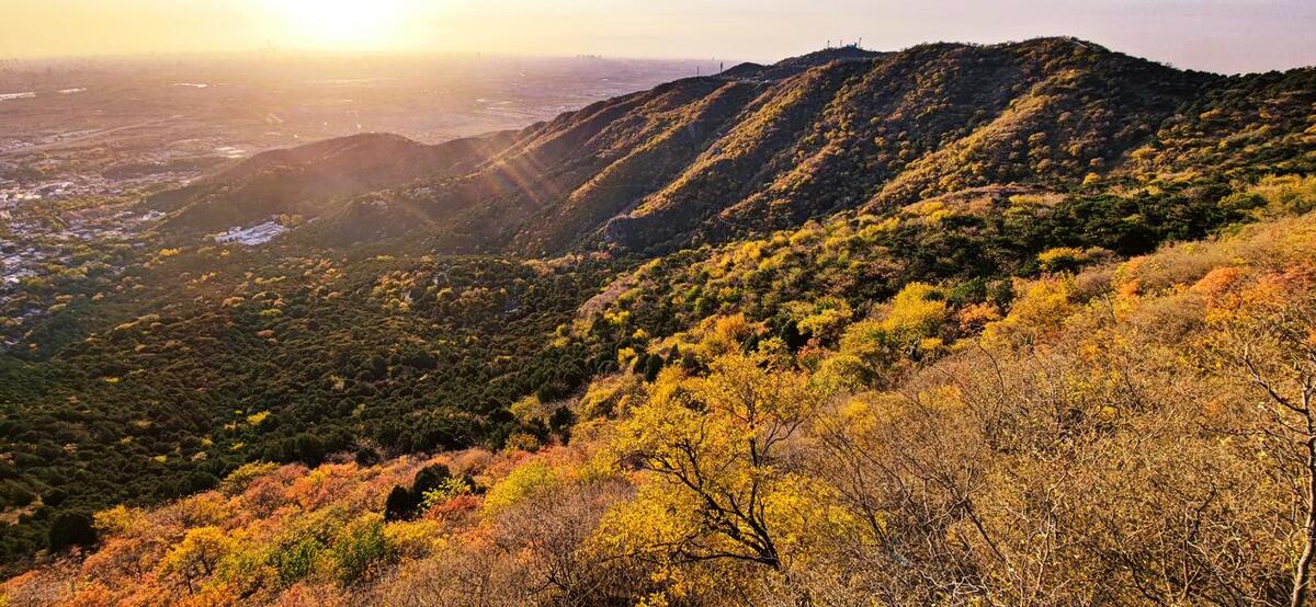 海淀区文旅局官网,文旅海淀第五期