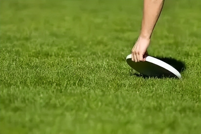 闅忎究鎵惧潡鍦版柟鍧愮潃鎽嗘憡,闅忎究鎵句釜鍦版柟閾哄湴鏉跨爾鐩堝埄