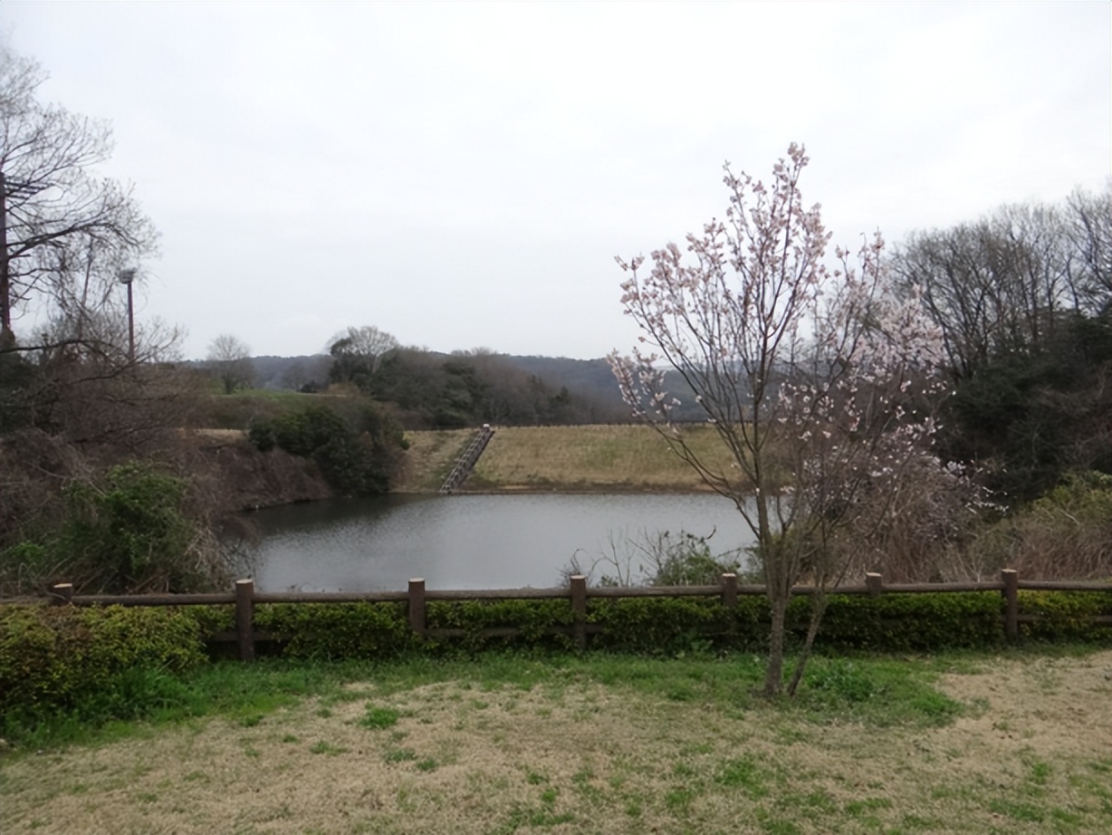 日本城市为什么那么干净,日本东京公园现状