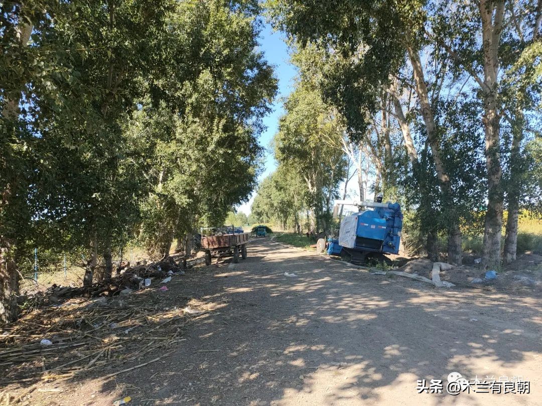 疫情虽然可怕但是我们永不畏惧,疫情依然不容小视