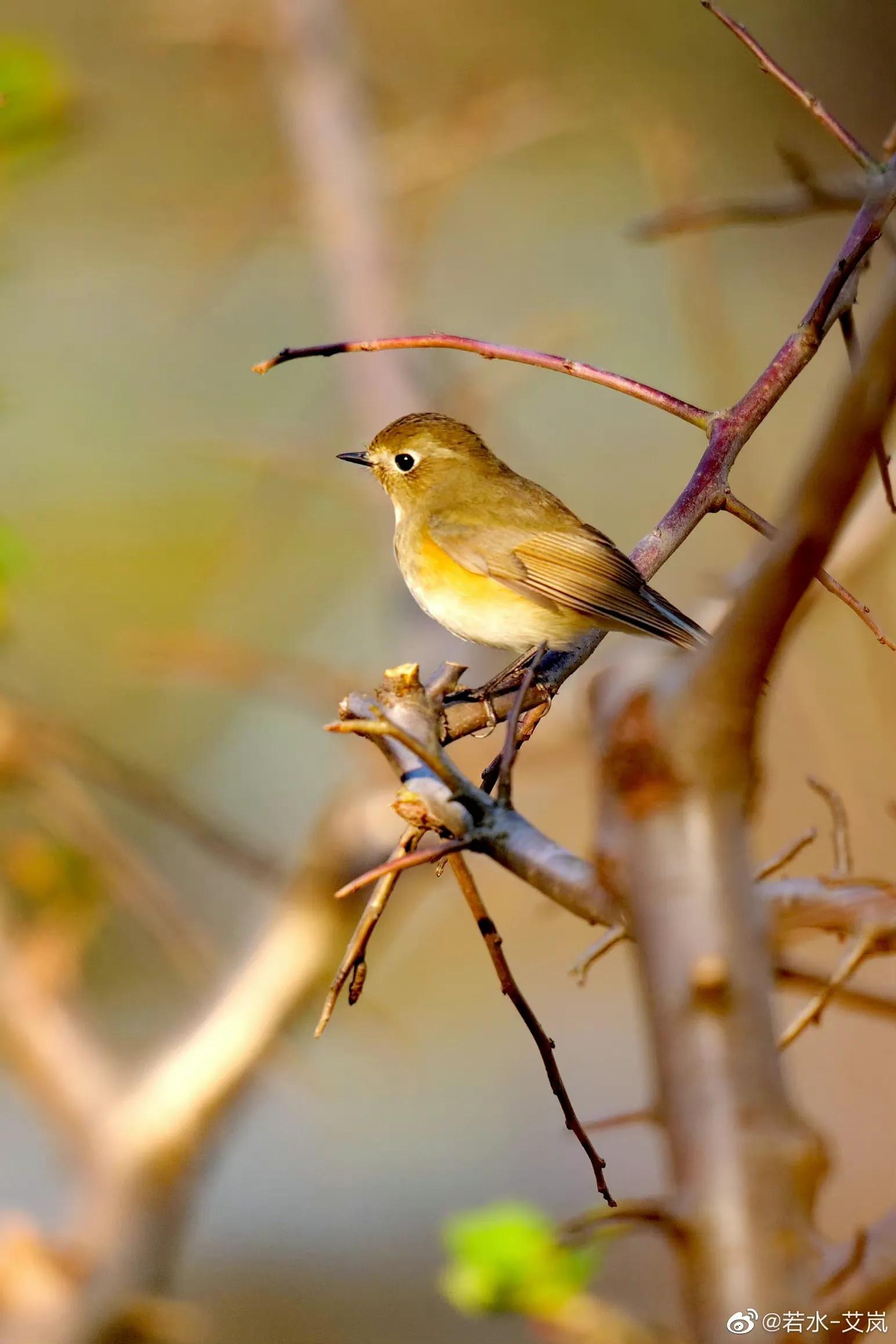 上海市嘉定区安亭国际汽车城,上海嘉定安亭国际汽车城