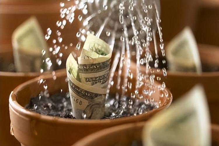 新手创业没经验怎么办,新手无经验创业项目做什么