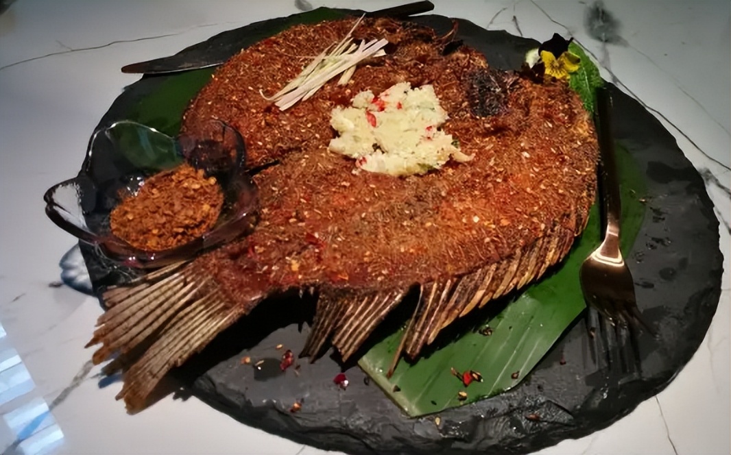 最适合广东养的淡水鱼,广东超级耐养的小型淡水鱼