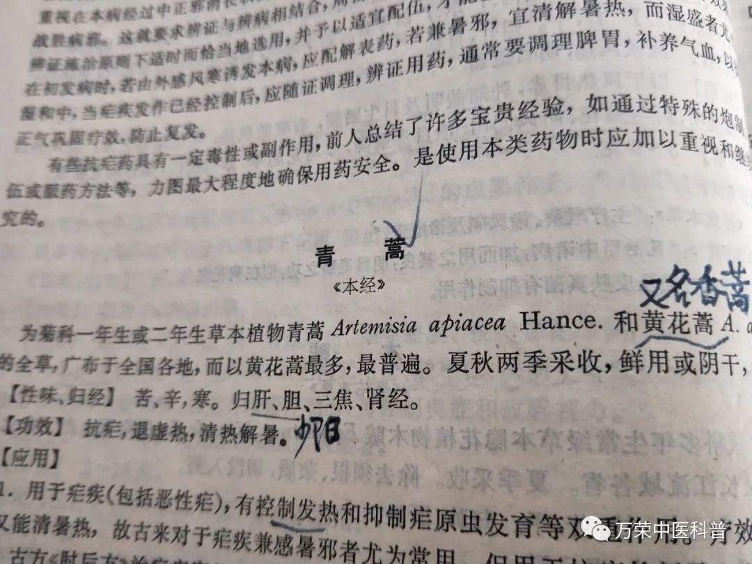 植物幼苗的发展过程详细,植物的幼苗在生长过程中