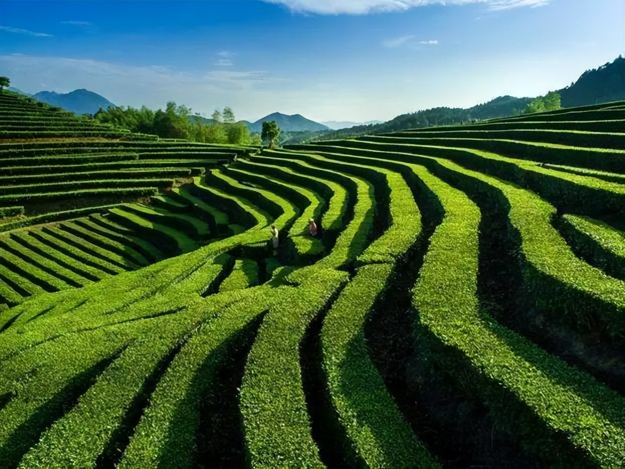 什么是经济学如何理解经济学,经济学的本质是什么