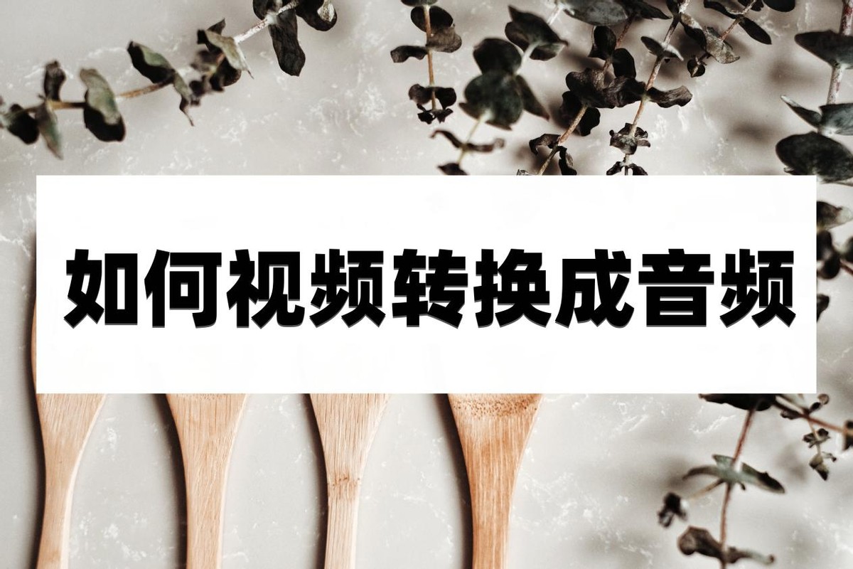 如何视频转换成音频？不如试试这些方法