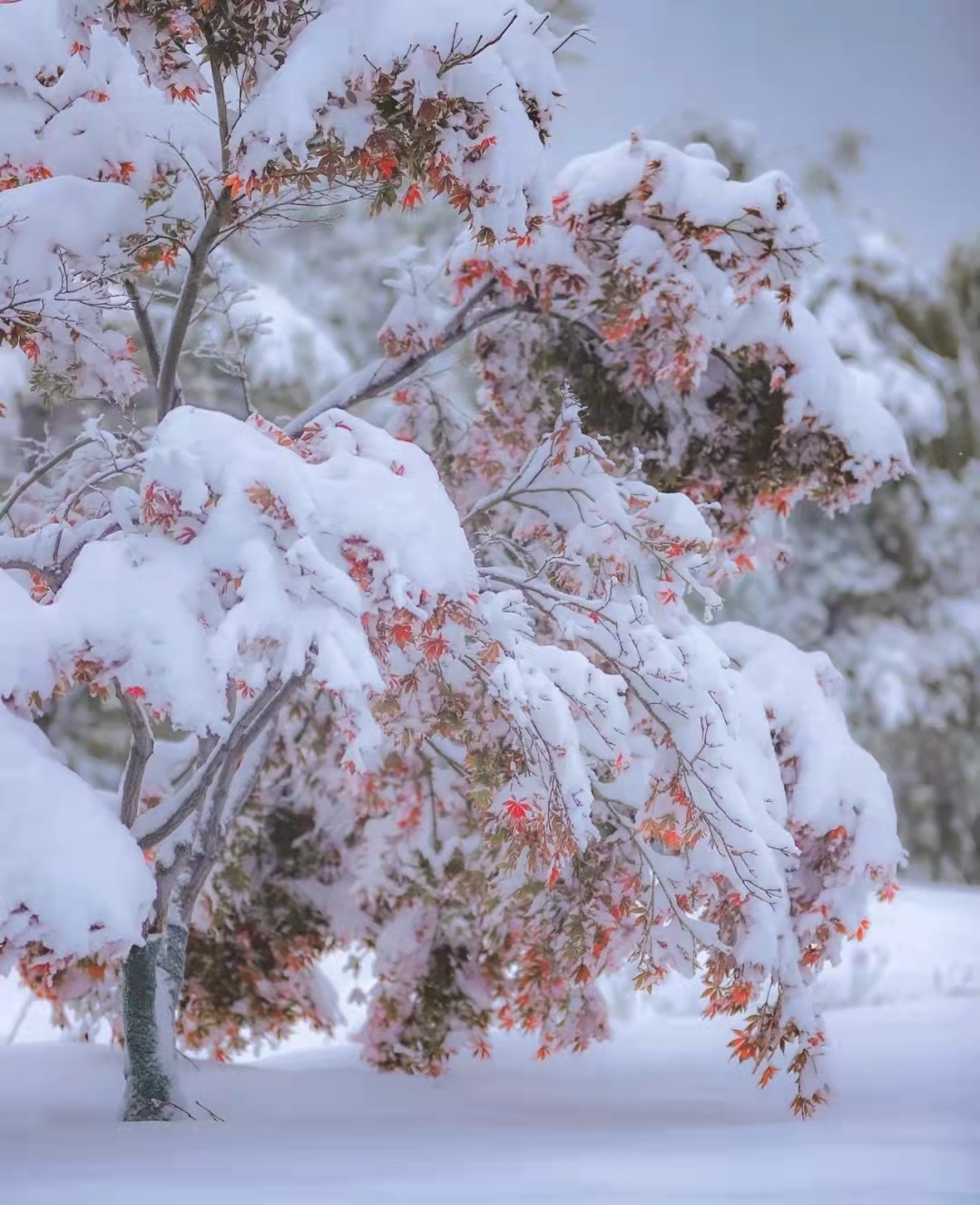 找侦探调查婚外情有什么风险,找私家侦探拍证据