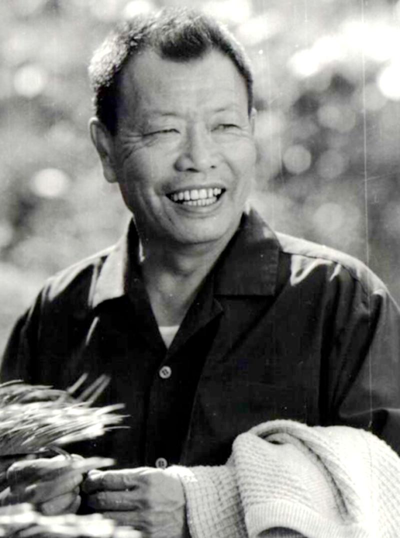 经典老歌芦笙恋歌插曲,芦笙恋歌插曲芦笙舞曲