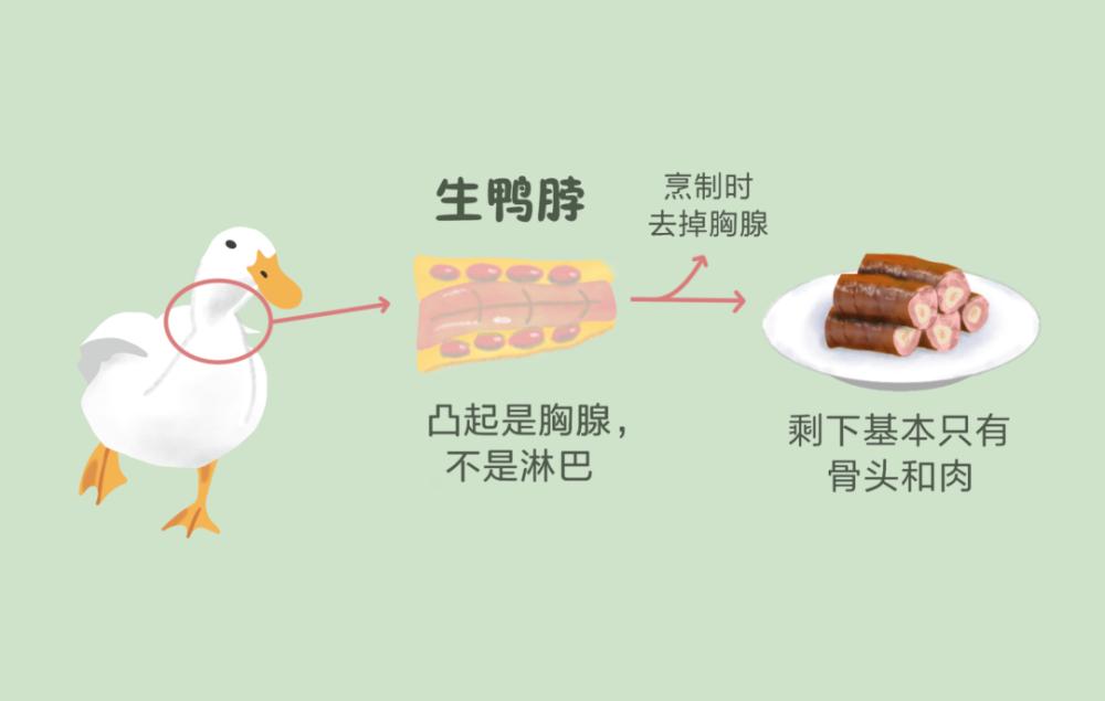 鸭脖淋巴吃多了有什么危害,鸭脖淋巴结有毒吗