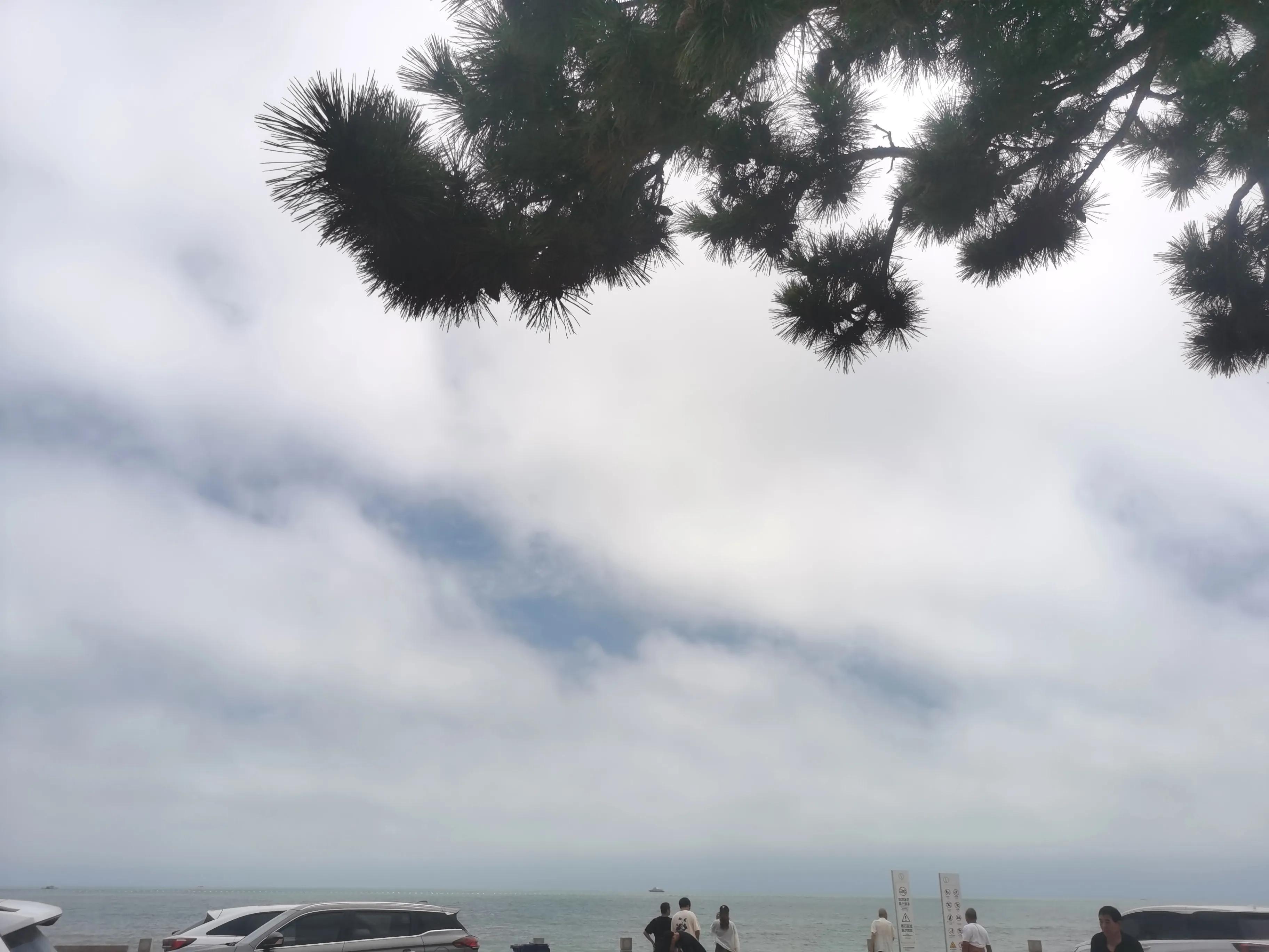 日照莒县今日天气,山东省日照市莒县能去旅游吗