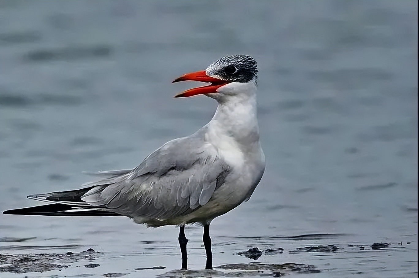 昆明七彩云南怎么样,七彩云南避暑家园