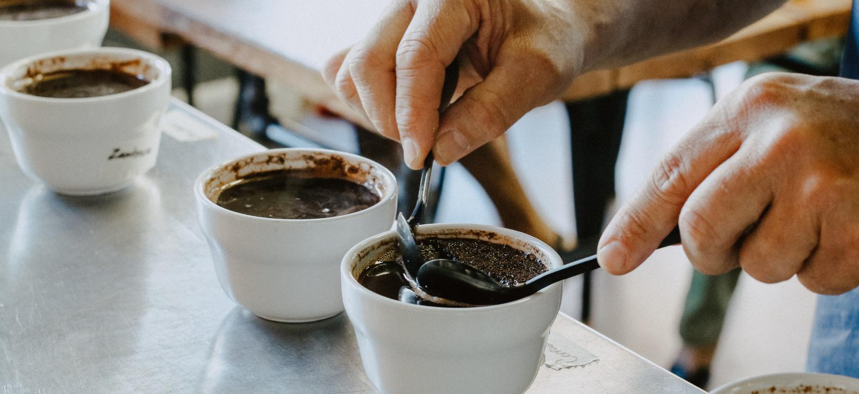 你看过的咖啡评测99%都不专业，咖啡宇宙告诉你专业咖啡评测方法