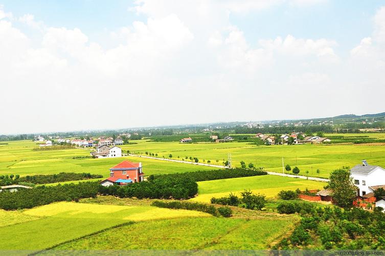 合肥和石家庄哪个城市比较好,合肥最有潜力的省会