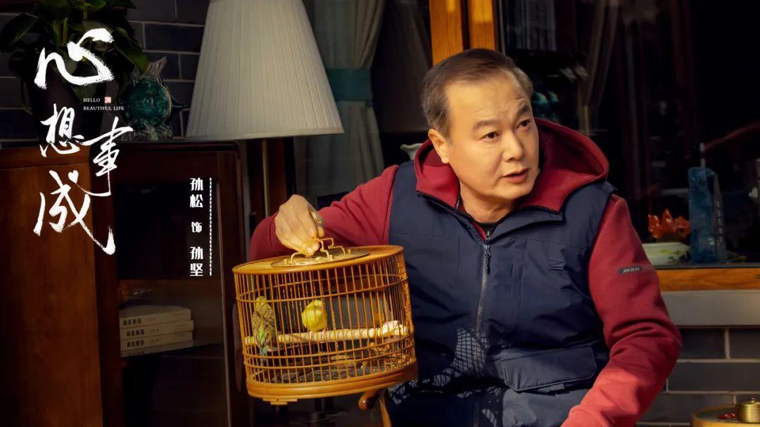 央视连续剧心想事成,心想事成电视剧演员阵容