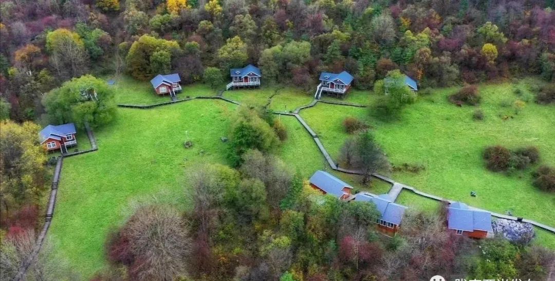 喜迎二十大之经济建设,喜迎二十大高质量发展