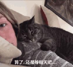 别人家的猫是液体还是固体,猫都是水做的