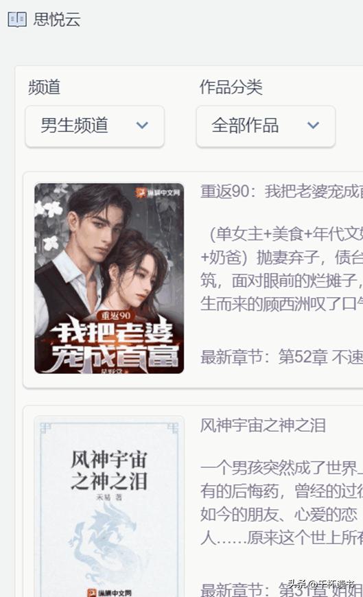 电脑版免费无广告小说软件,pc端写小说软件