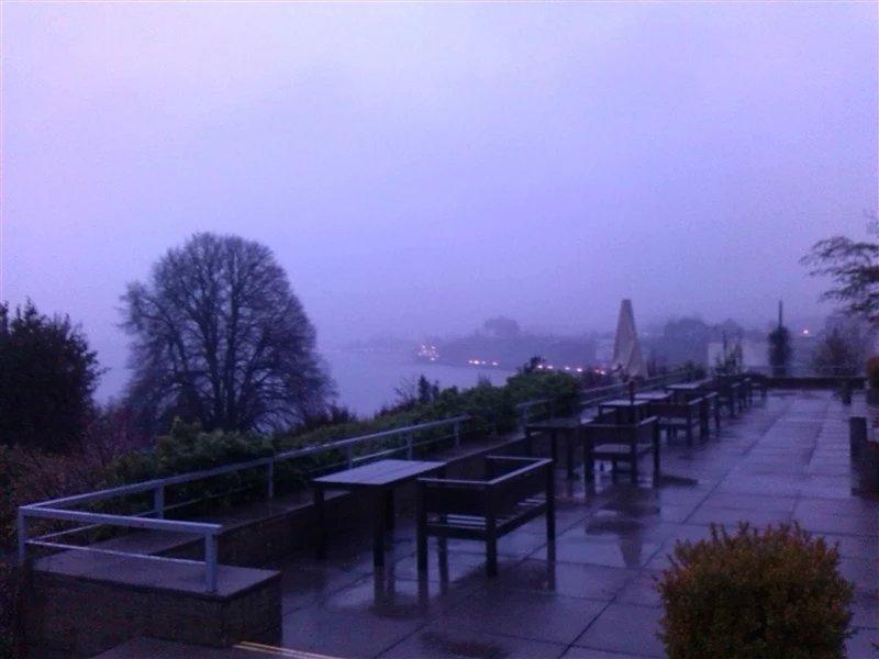 智利法罗群岛三文鱼,智利的三文鱼