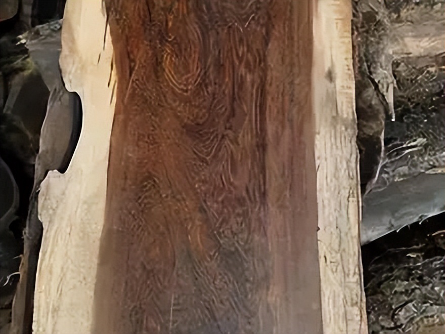 铁刀木和松木哪个好,铁力木和铁刀木哪个更好