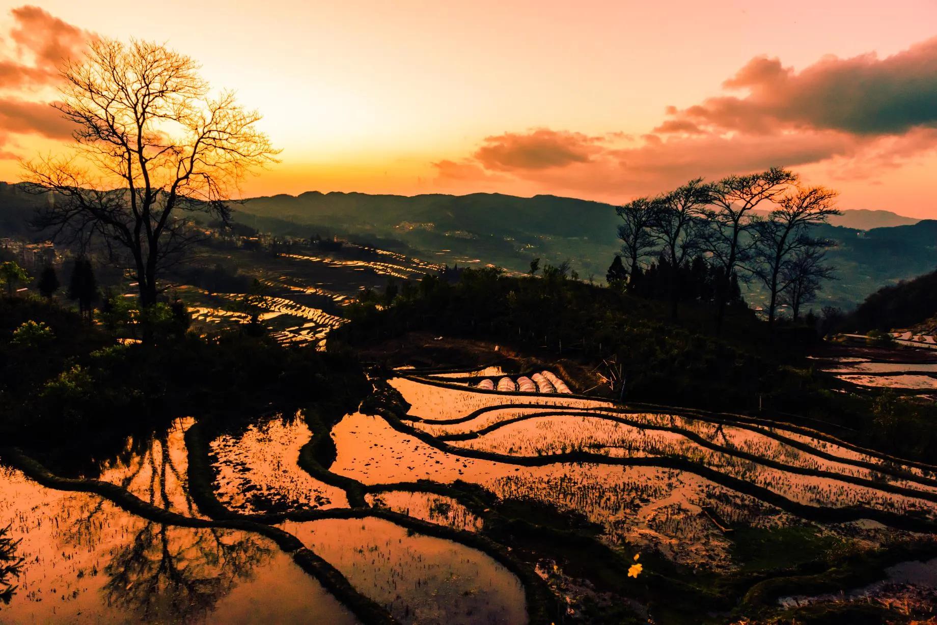 西双版纳10日行——走遍春夏秋冬，总会有人四季等你。