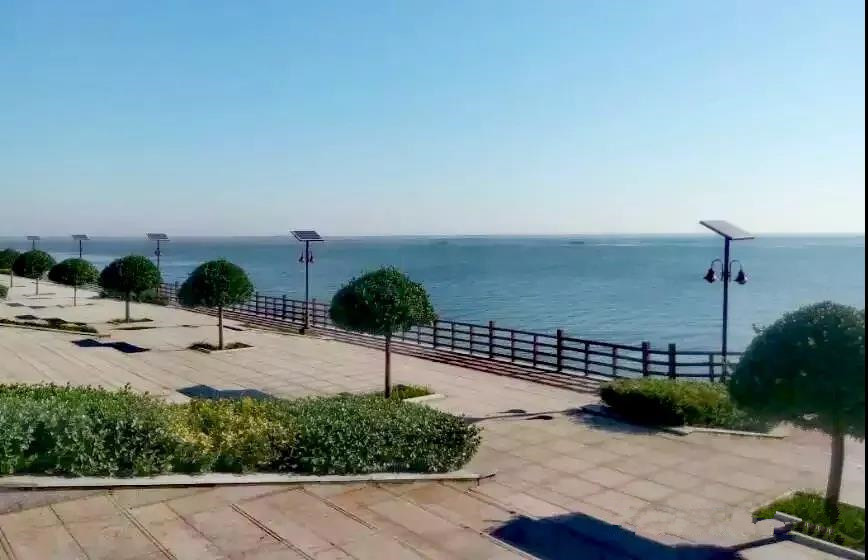 郭小川团泊洼的秋天,团泊洼的秋天读后感