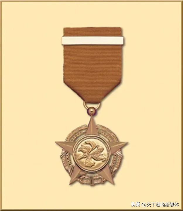 多位潮籍乡贤荣获香港特区政府2023年授勋及委任太平绅士