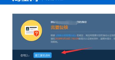 弘辽科技网店怎么经营,淘宝复核店是什么意思