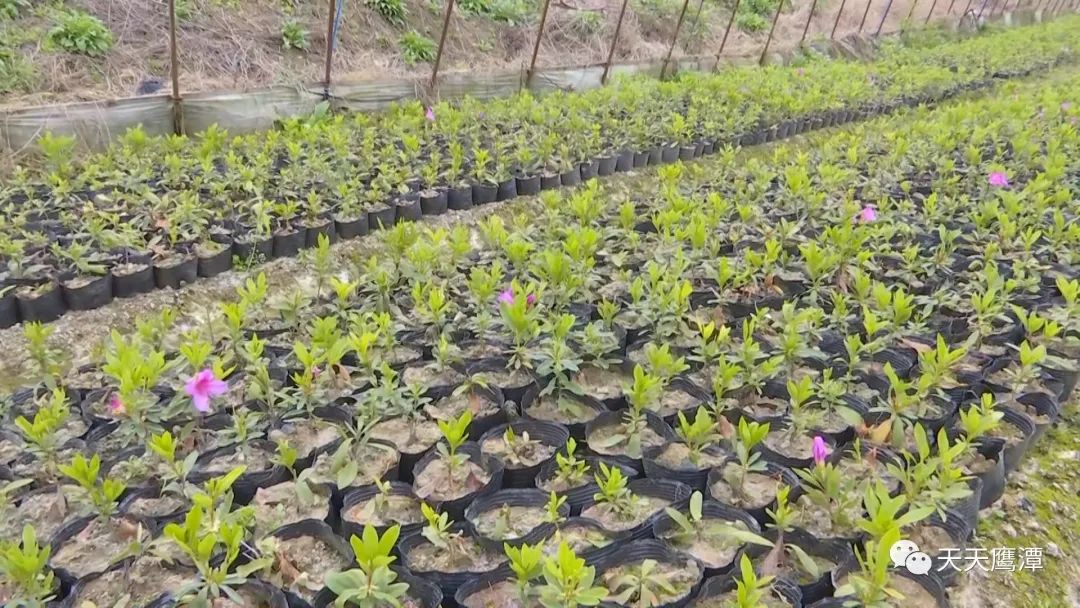 鹰潭一万元创业项目怎么操作,鹰潭10万元创业项目在哪里