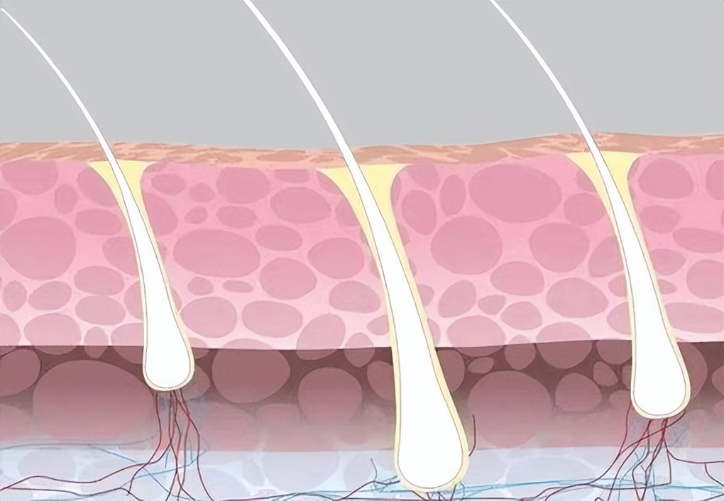 阴毛变白是身体生病了吗？