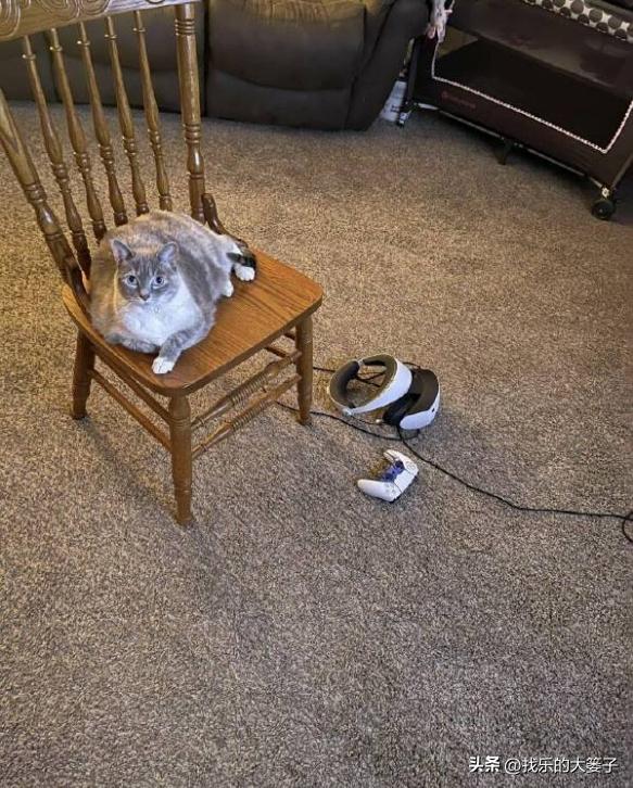 欢乐网图：手机带了但快没电了，又要用也没法充电，那才叫难受呢