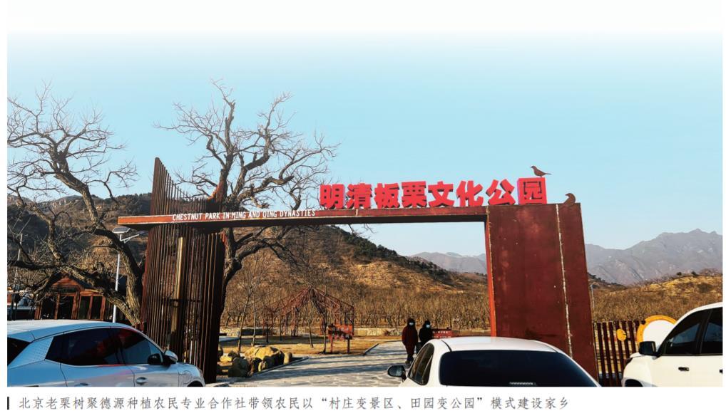 农民专业合作社意义和作用,农民专业合作社对乡村振兴的意义