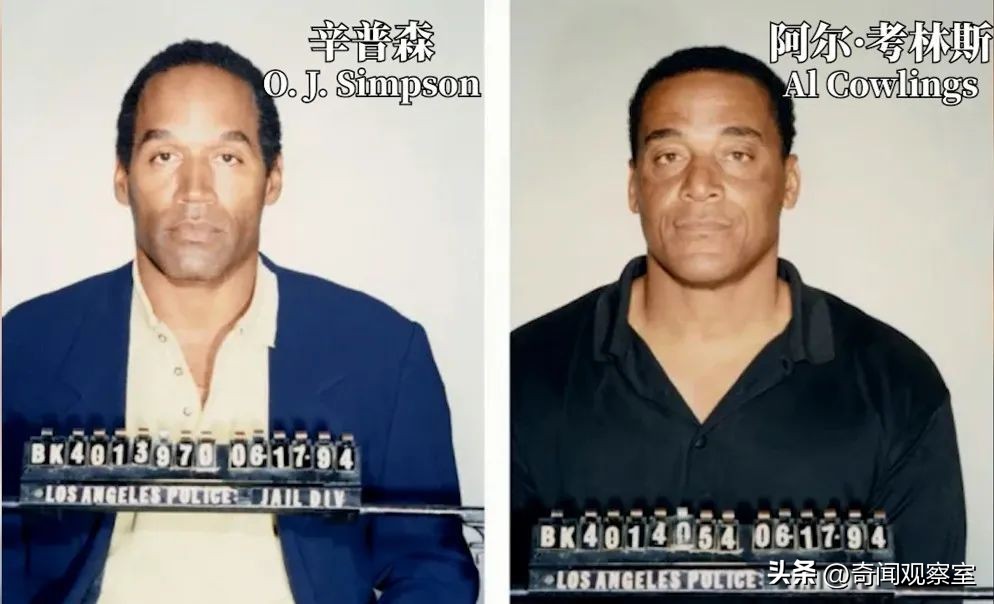 辛普森案真相解析,辛普森案真相解密